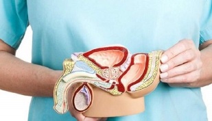 How to treat prostatitis in men