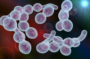 agents that cause bacterial prostatitis in men