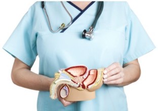 Prostate y men